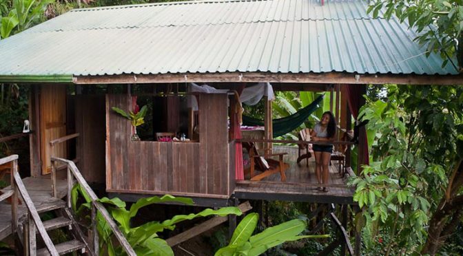 monkey-house-rainforest