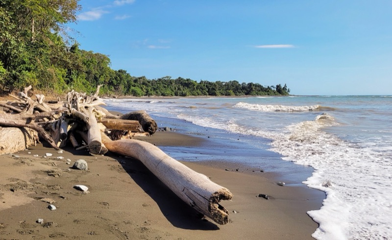 Driftwood on a wild beach in Corcovado National Park, Osa Peninsula