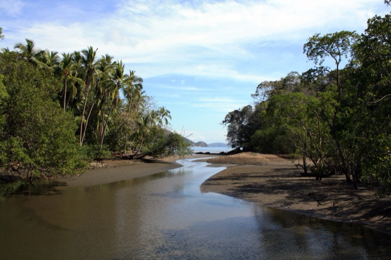 River mouth and forest at Curú Wildlife Refuge on the Nicoya Peninsula
